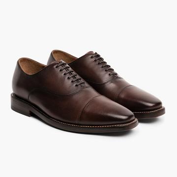 Thursday Executive Leather Classic Men's Dress Shoes Brown | AU352NWY